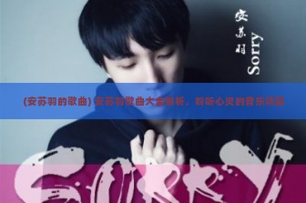 (安苏羽的歌曲) 安苏羽歌曲大全解析，聆听心灵的音乐诗篇