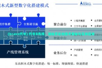 (bravo代号) 代号B布线，揭秘背后的技术奥秘与实际应用