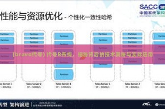 (bravo代号) 代号B布线，揭秘背后的技术奥秘与实际应用