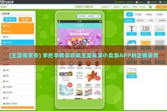 (王蓝莓家务) 手把手教你获取王蓝莓家小卖部APP的正确姿势