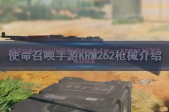 (使命召唤krm262原型枪) 探究经典武器——KRM262原型背后的故事