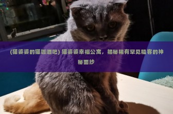 (猫婆婆的猫咖酒吧) 猫婆婆幸福公寓，揭秘稀有罕见租客的神秘面纱