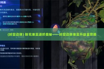 (时空边缘) 探究果实进阶奥秘——时空边际果实升级全攻略