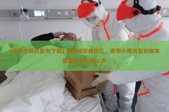 (宠物小精灵复刻下载) 穿越时空的回忆，宠物小精灵复刻版深度解析与玩家心声