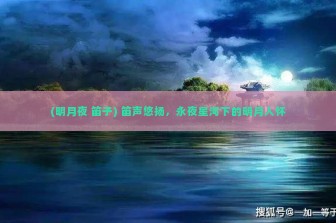 (明月夜 笛子) 笛声悠扬，永夜星河下的明月入怀