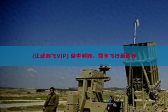 (让武器飞VIP) 空中利器，尊享飞行新境界