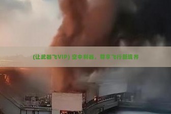 (让武器飞VIP) 空中利器，尊享飞行新境界