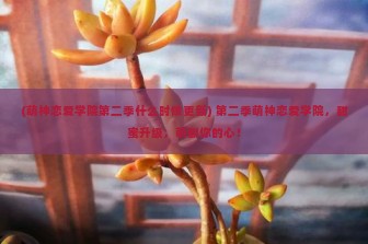 (萌神恋爱学院第二季什么时候更新) 第二季萌神恋爱学院，甜蜜升级，萌翻你的心！