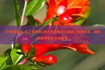 (从前有座山,山上有棵树,树上有条枝什么意思) 奇树传说，揭秘那座神秘之山的故事