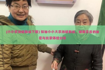 (小小农场破解版下载) 探秘小小大农场破解版，破解背后的秘密与玩家体验分析