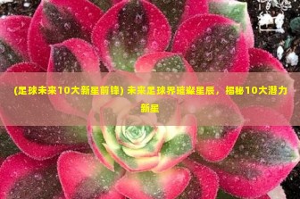 (足球未来10大新星前锋) 未来足球界璀璨星辰，揭秘10大潜力新星